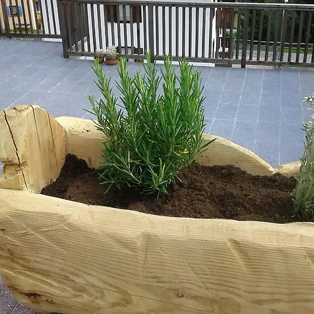 Appartamenti Presanella Vermiglio Exterior foto