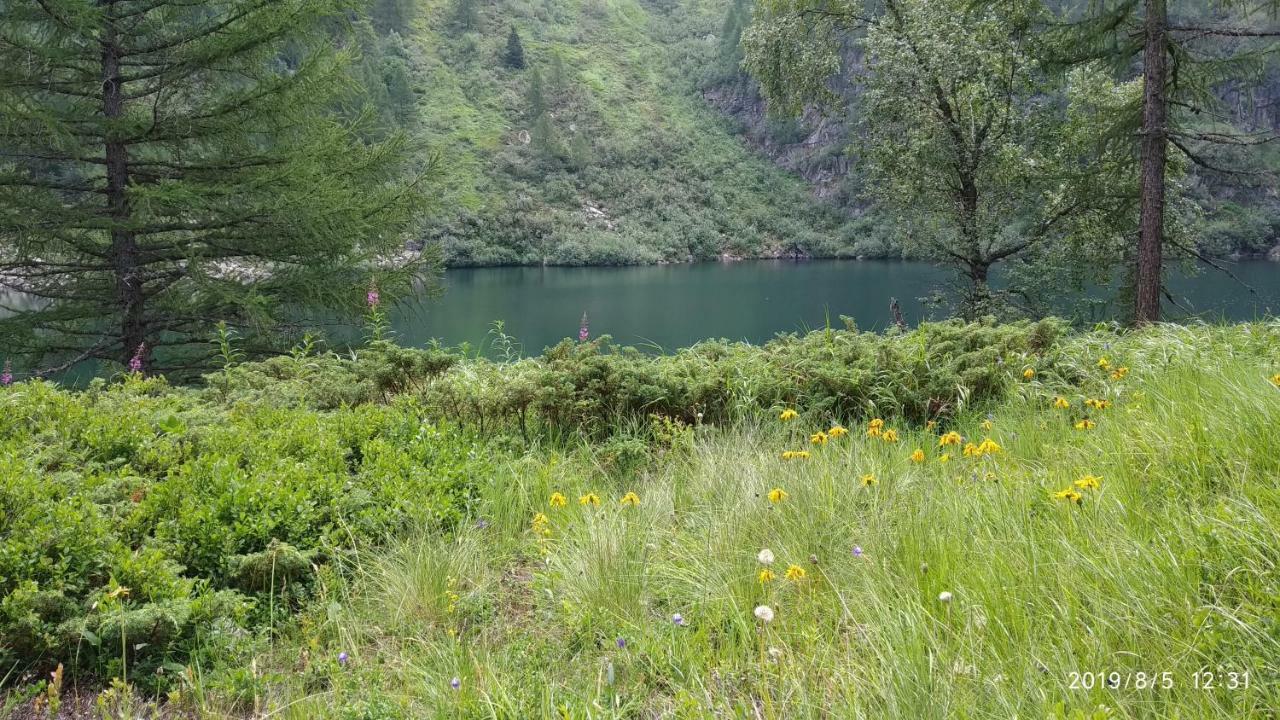 Presanella * Vermiglio